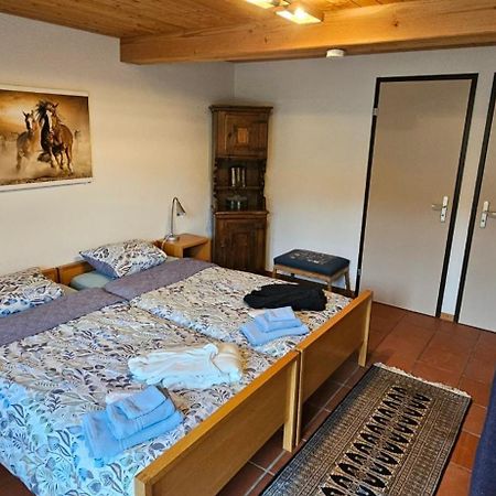 Miramont Horse Trekking Hostel Saicourt Exterior photo