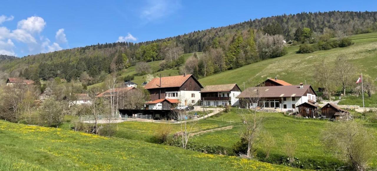 Miramont Horse Trekking Hostel Saicourt Exterior photo